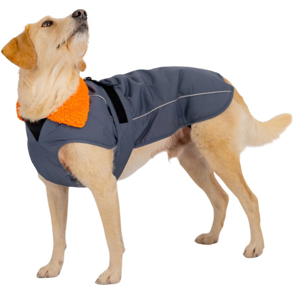 2026 Dryrobe Dog Coat V3DRDC - Dark Grey / Orange